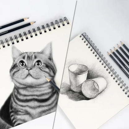 Graphite Pencils 2H-8B - Tin Box 12 Pieces